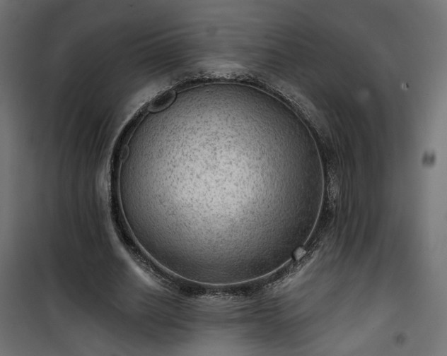 X0000101440630200807141307