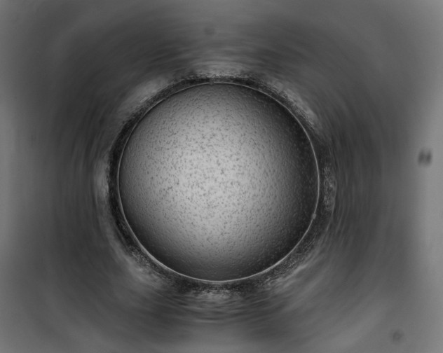 X0000101440631200807141307