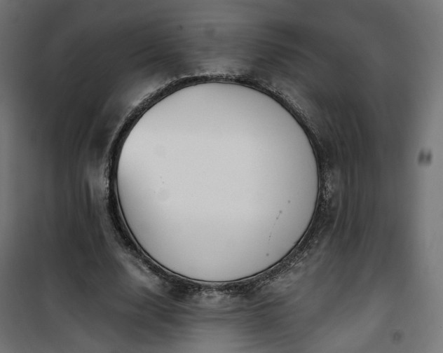 X0000101440632200807141307