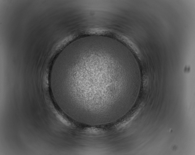 X0000101440633200807141307