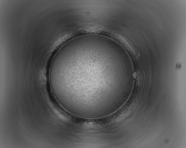 X0000101440634200807141307