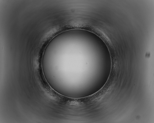 X0000101440635200807141307