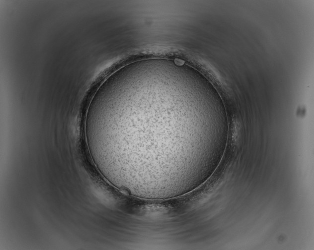 X0000101440636200807141307