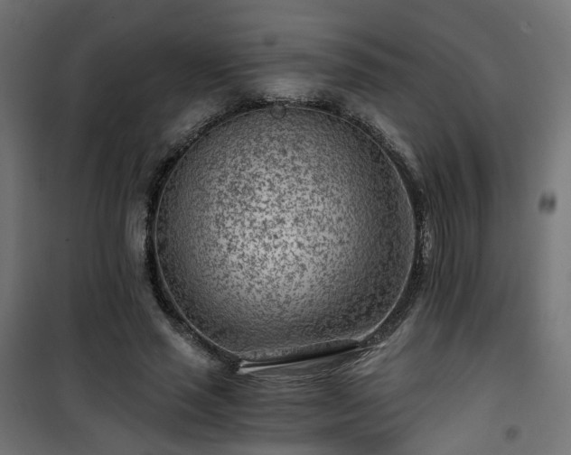 X0000101440637200807141307