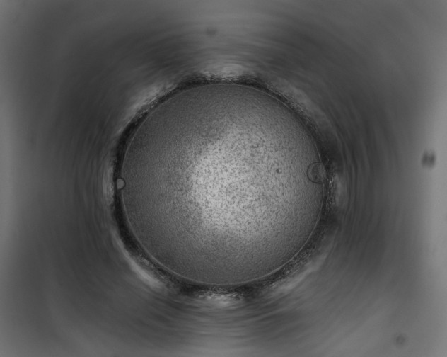 X0000101440638200807141307