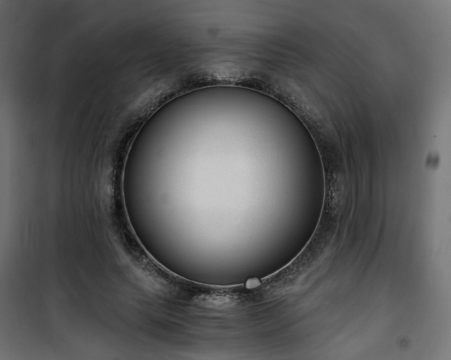 X0000101440639200807141307