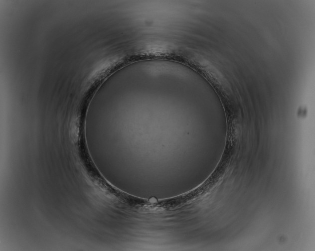 X0000101440640200807141307