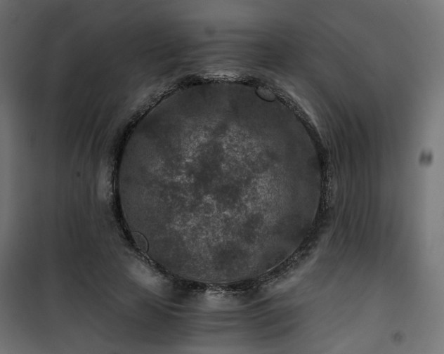 X0000101440641200807141307