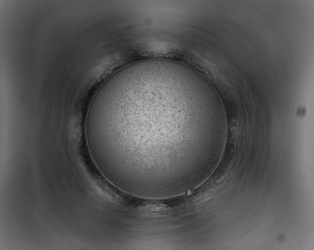 X0000101440642200807141307