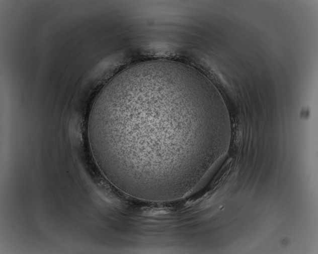 X0000101440643200807141307