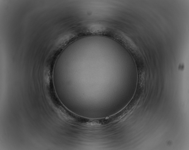 X0000101440644200807141307