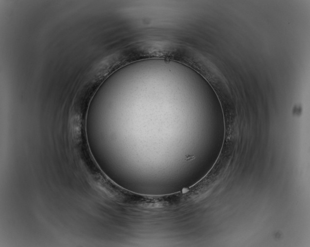 X0000101440646200807141307