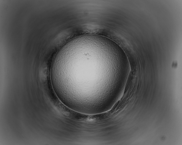 X0000101440647200807141307