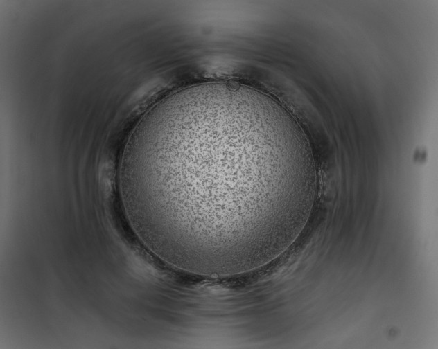 X0000101440648200807141307