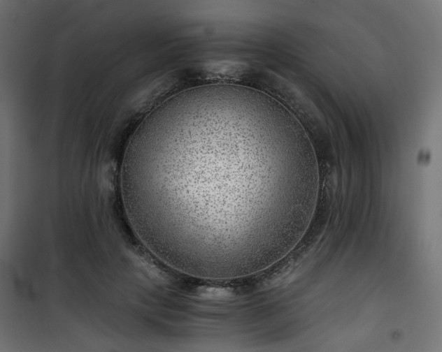 X0000101440649200807141307