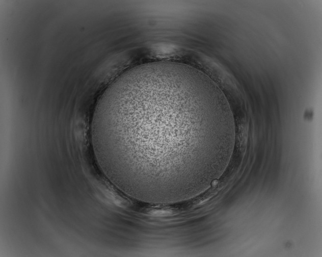 X0000101440653200807141307