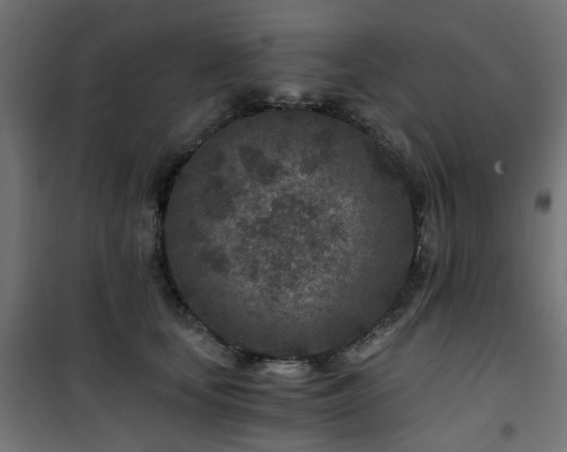 X0000101440659200807141307