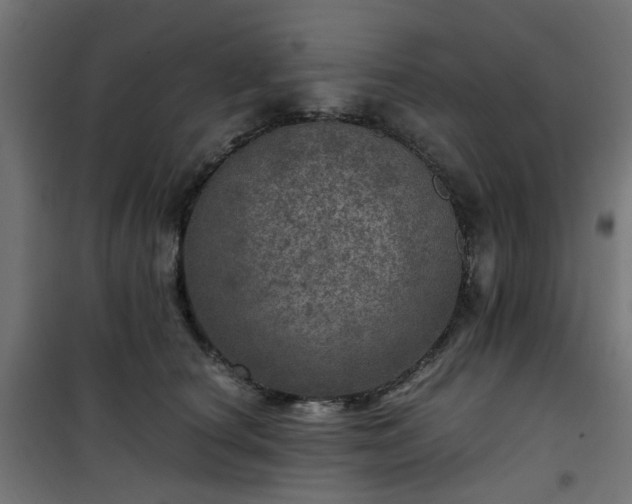 X0000101440660200807141307