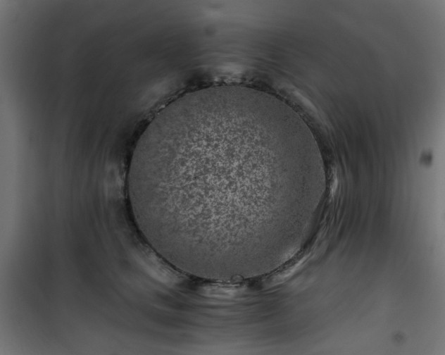 X0000101440661200807141307