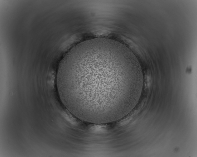 X0000101440664200807141307