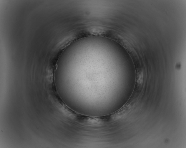 X0000101440666200807141307