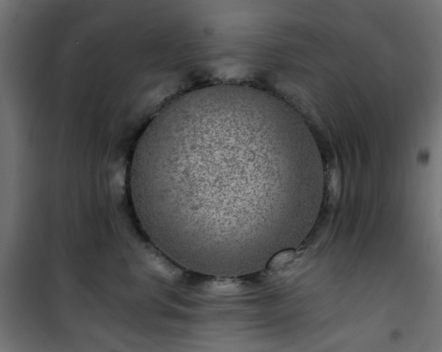 X0000101440668200807141307