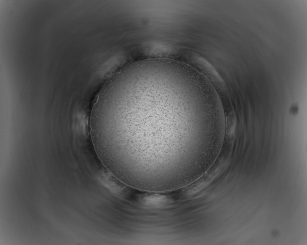 X0000101440669200807141307