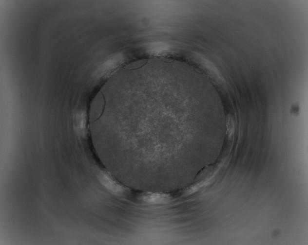 X0000101440670200807141307