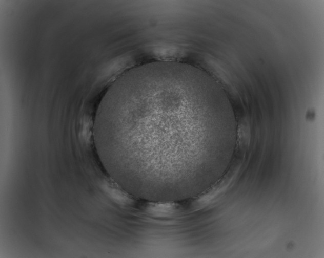 X0000101440671200807141307