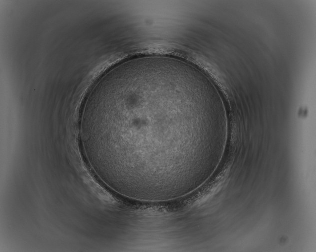 X0000101440673200807141307