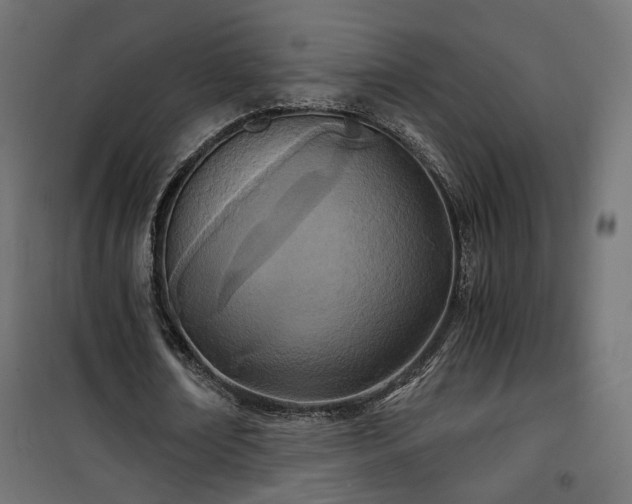 X0000101440674200807141307