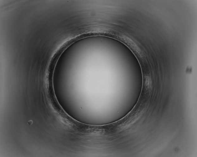 X0000101440676200807141307