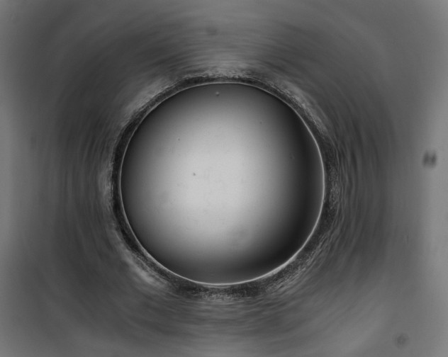 X0000101440677200807141307