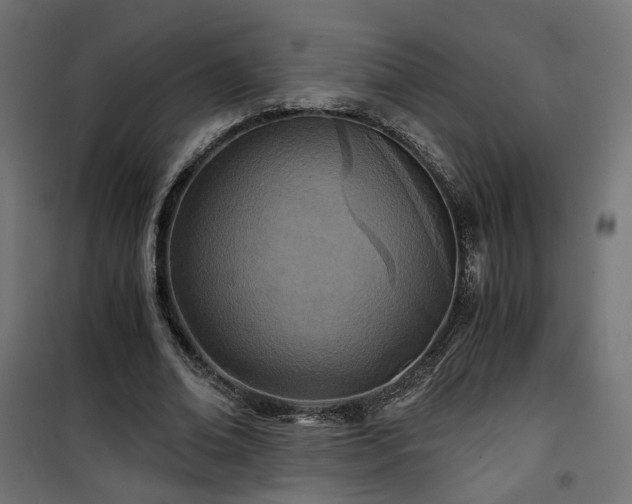 X0000101440678200807141307