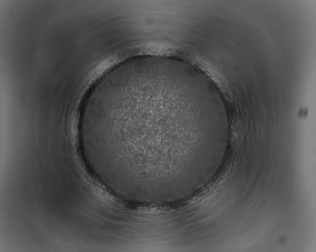 X0000101440679200807141307