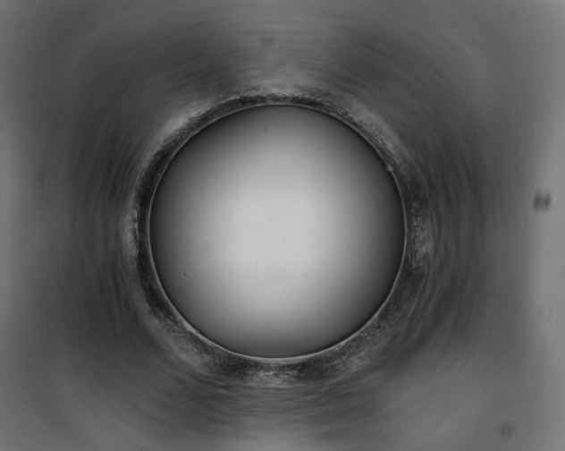 X0000101440680200807141307