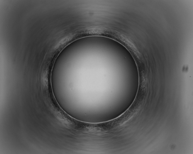 X0000101440681200807141307