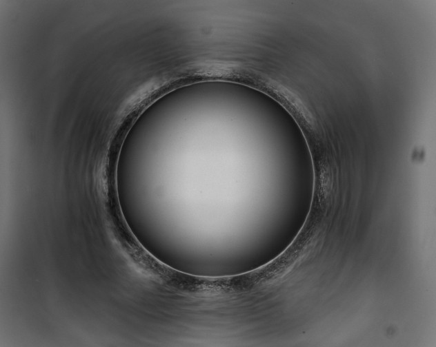 X0000101440682200807141307