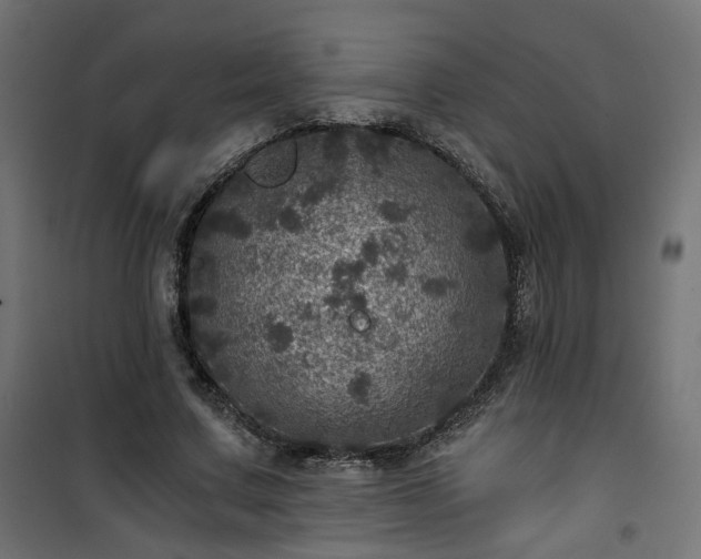 X0000101440683200807141307