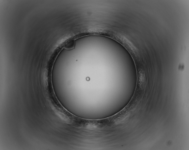 X0000101440684200807141307