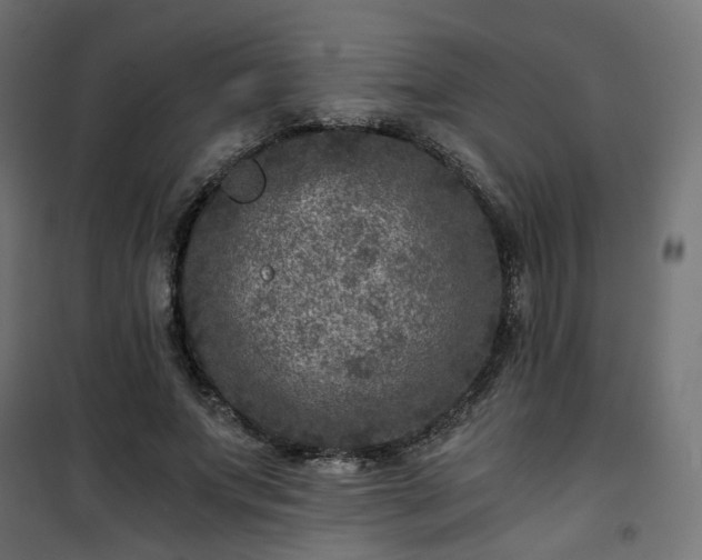 X0000101440687200807141306