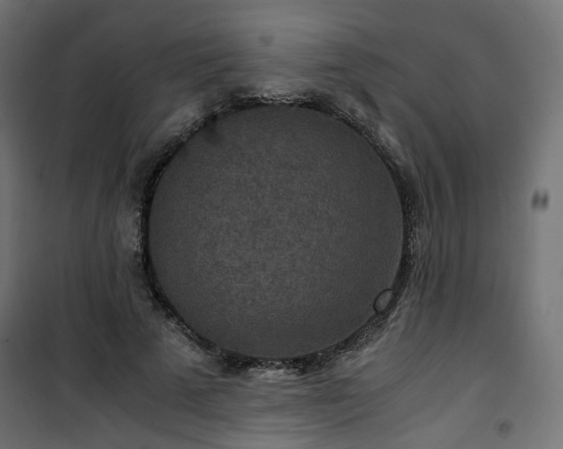 X0000101440689200807141306