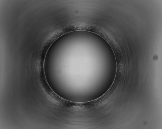 X0000101440690200807141306