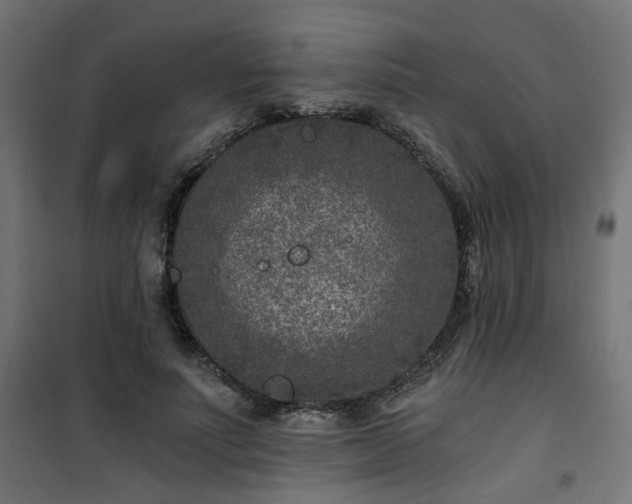 X0000101440691200807141306