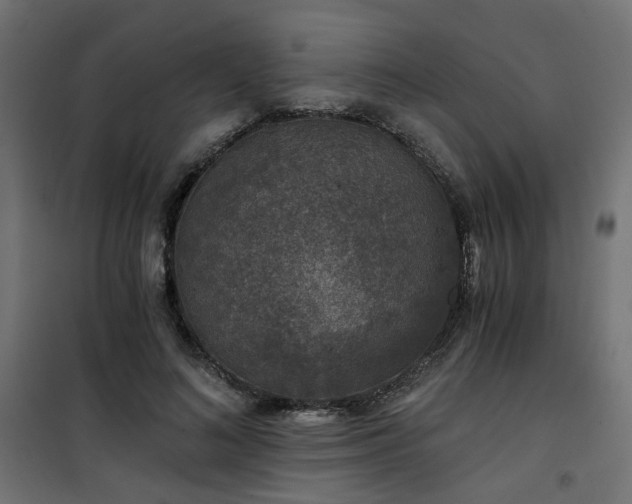 X0000101440692200807141306