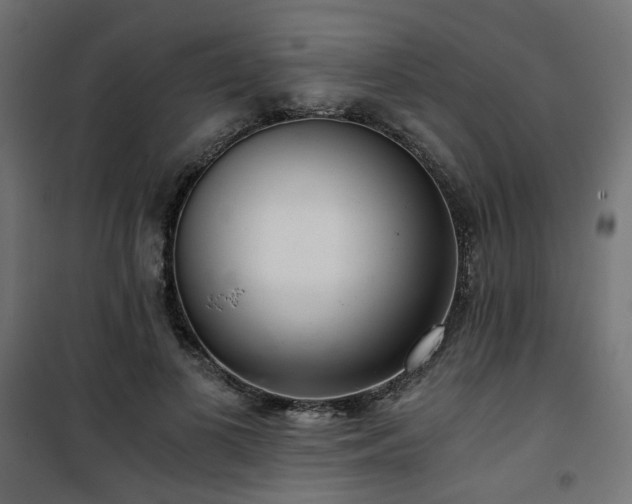 X0000101440693200807141306