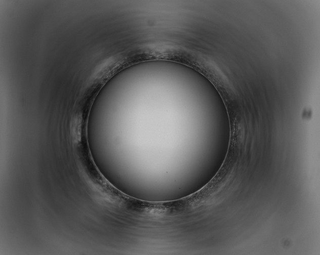 X0000101440694200807141306