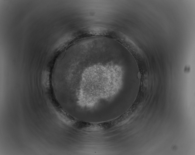 X0000101440696200807141306