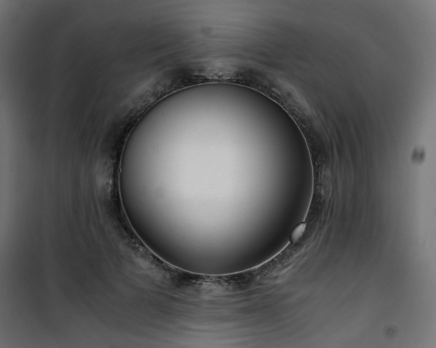 X0000101440697200807141306