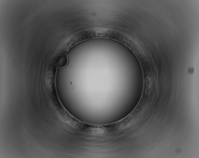 X0000101440698200807141306